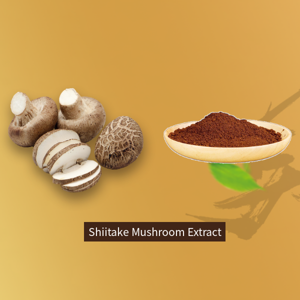 Mushroom Extract Lentinus Edodes Extract Supply Polysaccharides Shiitake Mushroom Powder Organic Shiitake extract