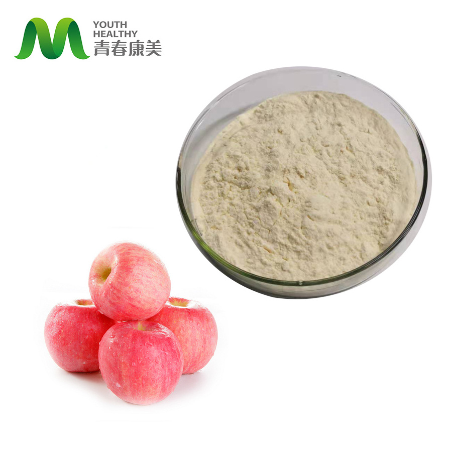 Apple Pectin Extract Powder Organic Apple Fruit Fiber Powder