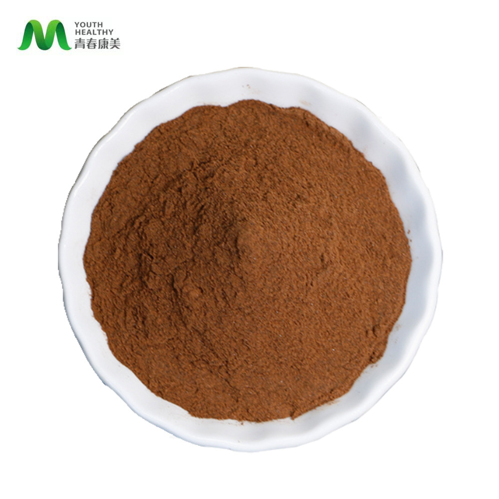 Mushroom Extract Lentinus Edodes Extract Supply Polysaccharides Shiitake Mushroom Powder Organic Shiitake extract