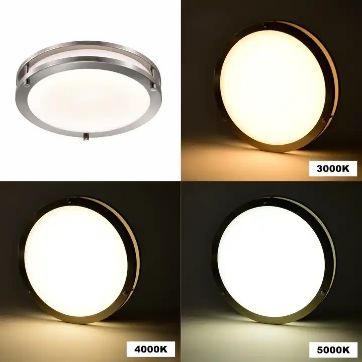 Hot Sale Round 15w 25w Brushed Nickel Color Double Ring Led Ceiling Light 5CCT Flush Mount Panel Light