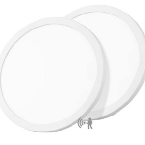 Wholesale11Inch CCT Changeable Led Round Flat Panel Light 24w 3000lm Dimmable Edge-lit Flush Mount Ceiling Light Fixture