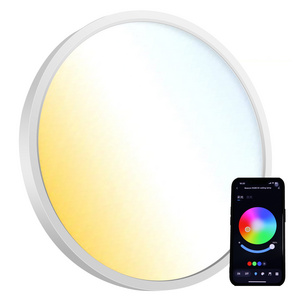 Ultra Thin Indoor Lighting Modern Round Surface Mount 18w 24w 30w  Led Ceiling Light For Home Office Living Room Bedroom