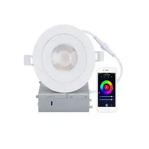 Motion Sensor Lamp LED Smart Lighting For Home Induction Night Light SmartLed Ceiling Lamp/Led Ceiling  down Light