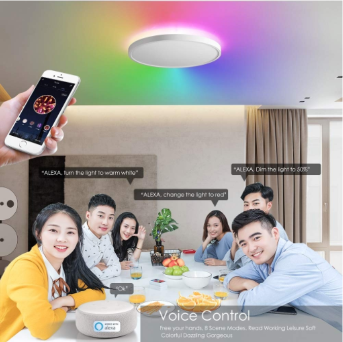 12 Inch Flush Mount Tuya Smart Led Ceiling Wifi Smart Rgb Ceiling Light