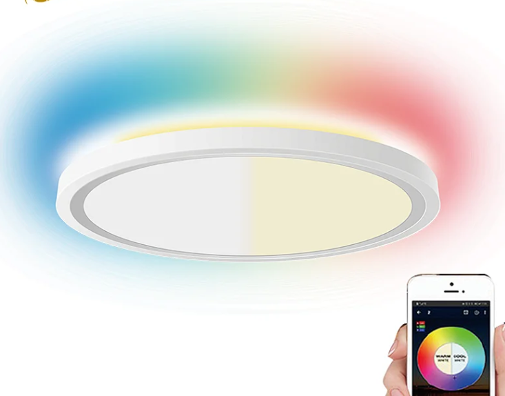 12 Inch Flush Mount Tuya Smart Led Ceiling Wifi Smart Rgb Ceiling Light