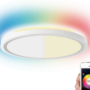 12 Inch Flush Mount Tuya Smart Led Ceiling Wifi Smart Rgb Ceiling Light