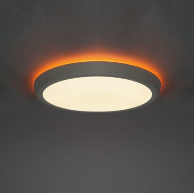 2.4G Remote Control Bluetooth LED Ceiling Flush Panel Light with 2000K-6000K