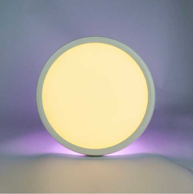 2.4G Remote Control Bluetooth LED Ceiling Flush Panel Light with 2000K-6000K