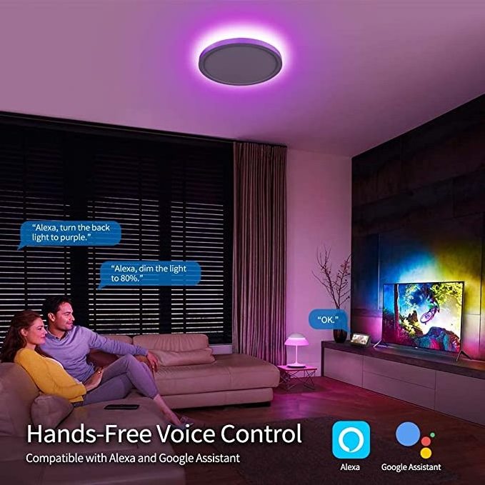 LED Smart Light App Control Group Control 12