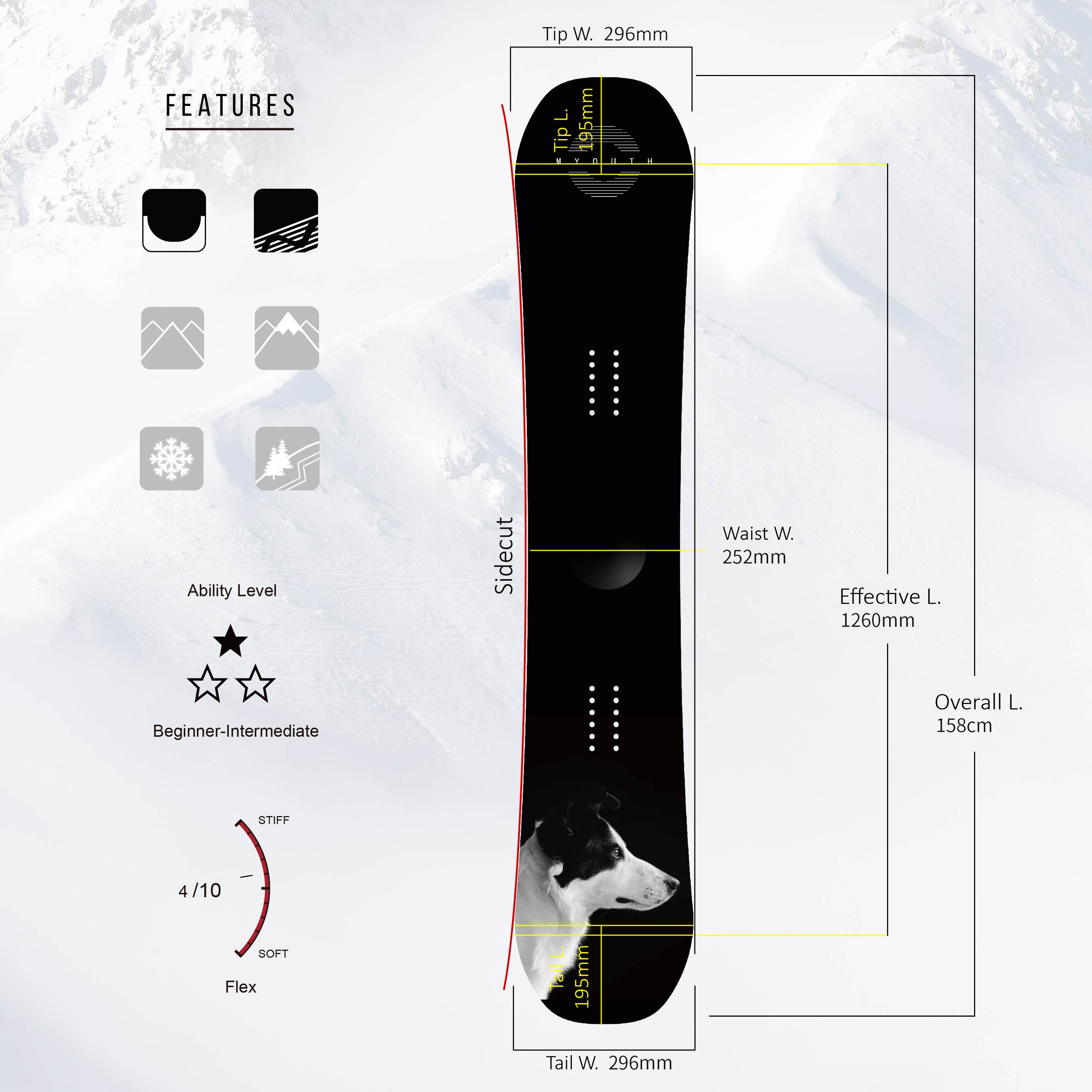 OEM 2 Years Warranty Cheap Freestyle Traditional Camber Blank Snowboards