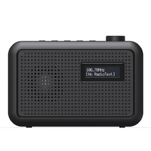 Youtong New Small Size TFT Display Internet FM Radio with Aux Portable DAB/DAB+FM Radio