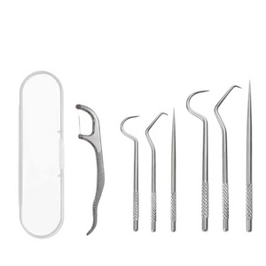 dental Teeth Pick Stainless Steel Toothpick Set  Reusable Tooth Stains Remover Dental Tool Teeth Cleaning Tools