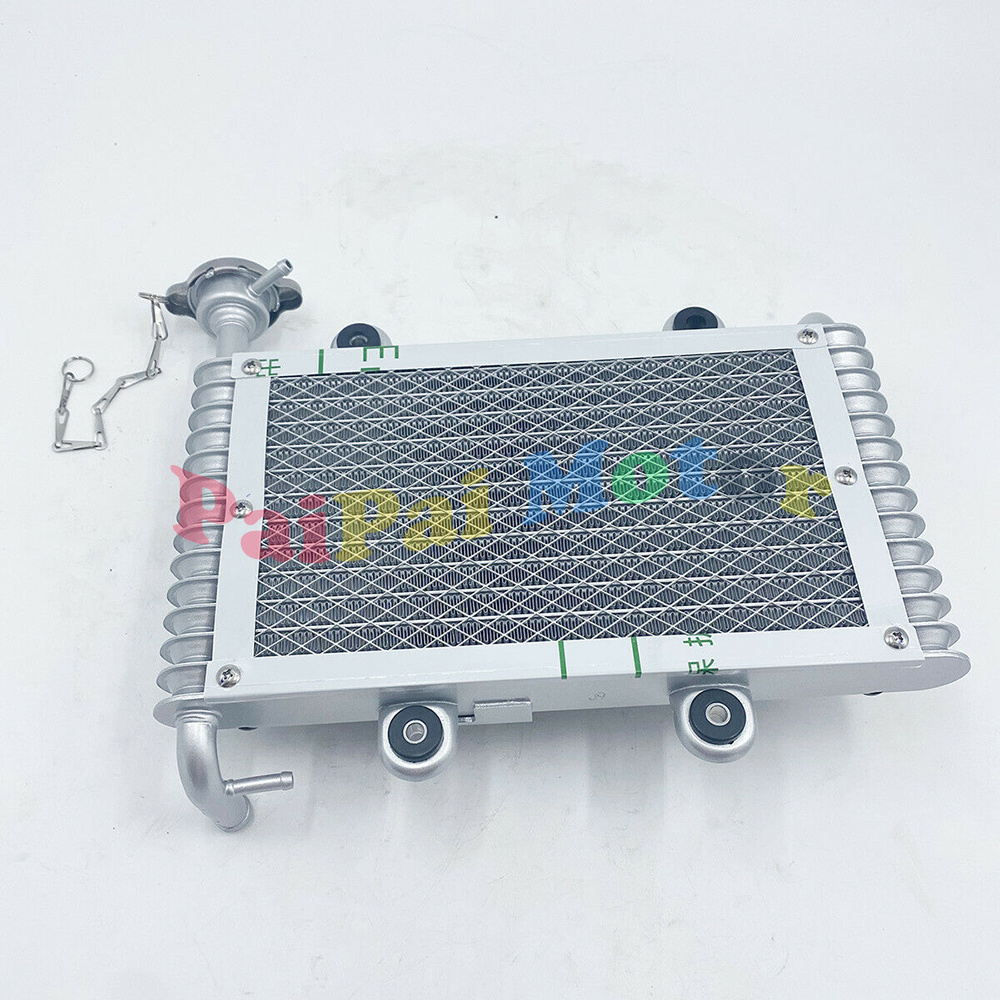 Bashan 200CC 250CC ATV Quad Radiator For Bashan 200-250CC ATV