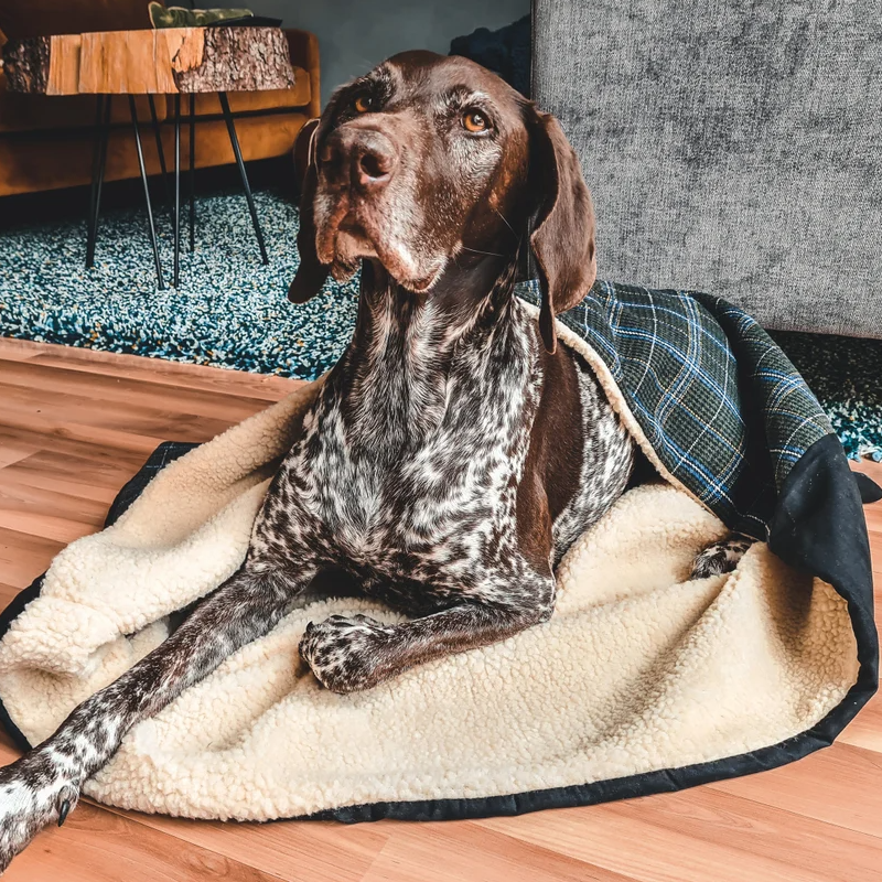 Snuggle Sack Dog Bed Tweed Dog Cuddle Sack Pet Mat Pad Small Dog Snuggle Sack for Doggie Cat