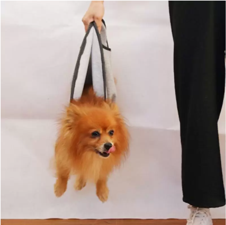 Small Dogs Carrier Bag Backpack Puppy Pet Cat Shoulder Bags Outdoor Travel Handbag Slings Pet Dog Cat Carrier