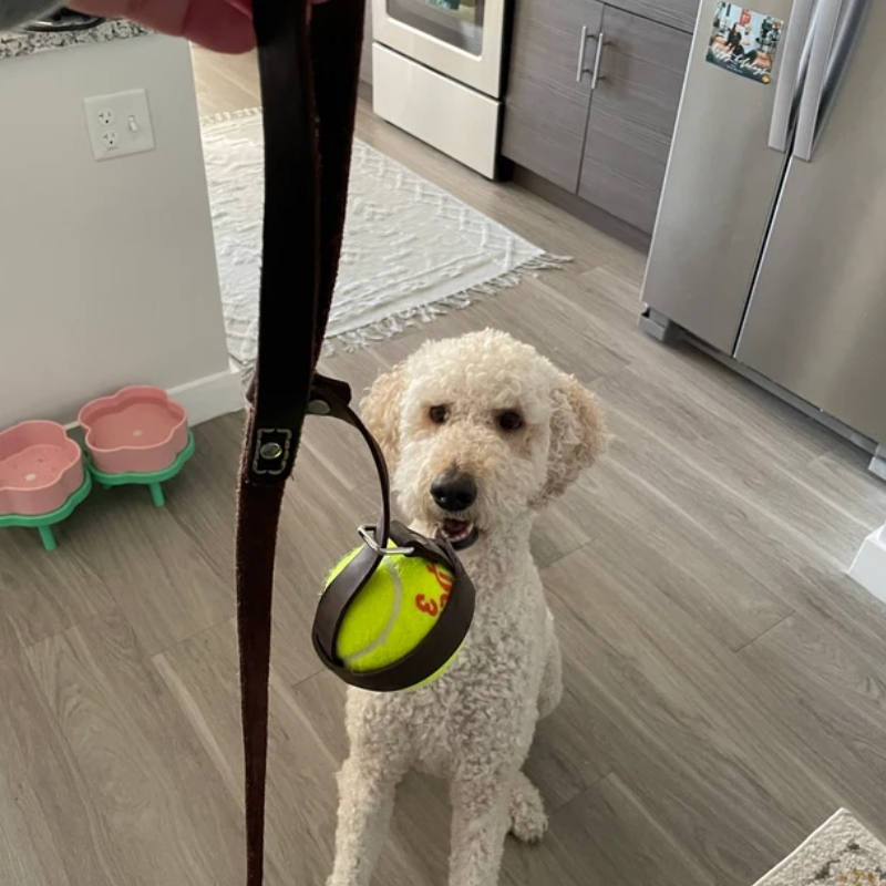 Tennis Ball Holder Dog Outdoor Custom Dog Ball Keeper Genuine Leather Dog Training Toys Personalized Pet Ball Toy Holder Strap