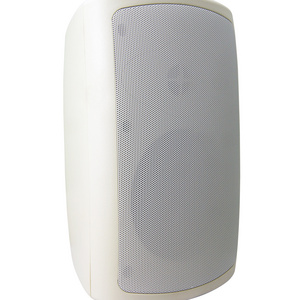 Durable 5.25-inch Hi-Fi Home Used Speakers for Hotel Guest Room YZ216