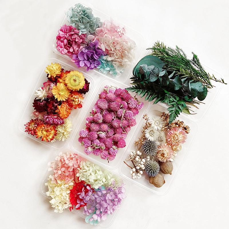 High Quality Popular Natural Dried Flowers Mixed Colors Flower Box Candle Soap DIY Materials for Sale