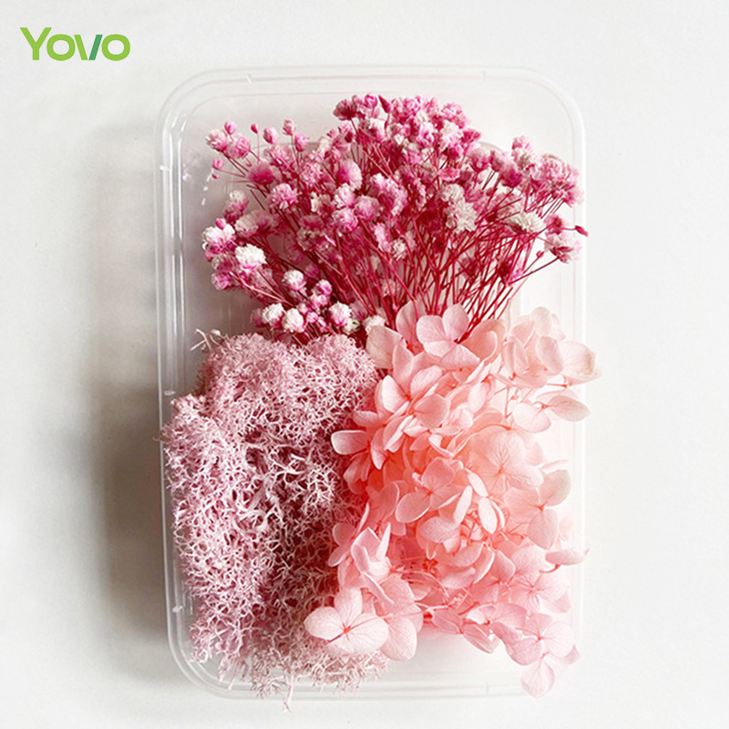 High Quality Popular Natural Dried Flowers Mixed Colors Flower Box Candle Soap DIY Materials for Sale