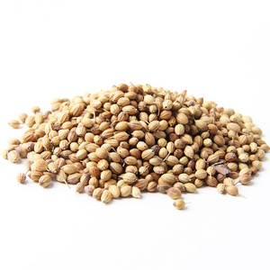 Hew Harvest Low MOQ Pure Natural Dried Coriander Seeds Spices for Food Seasoning Cooking