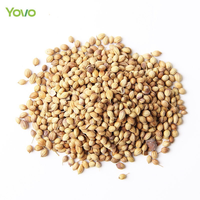 Hew Harvest Low MOQ Pure Natural Dried Coriander Seeds Spices for Food Seasoning Cooking