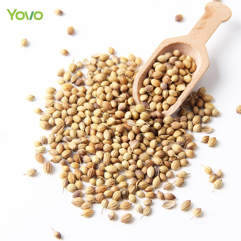 Hew Harvest Low MOQ Pure Natural Dried Coriander Seeds Spices for Food Seasoning Cooking