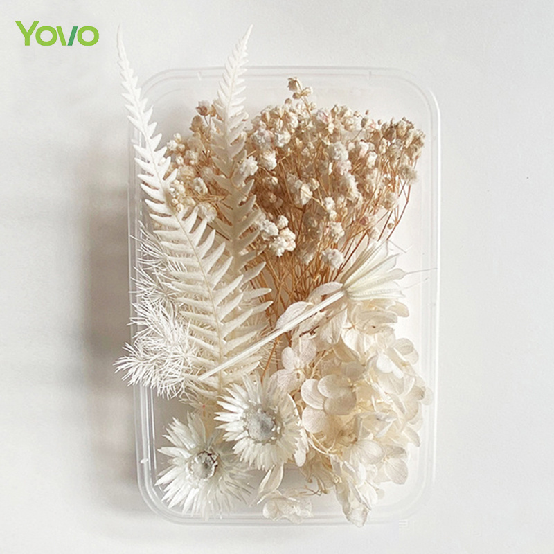 High Quality Popular Natural Dried Flowers Mixed Colors Flower Box Candle Soap DIY Materials for Sale