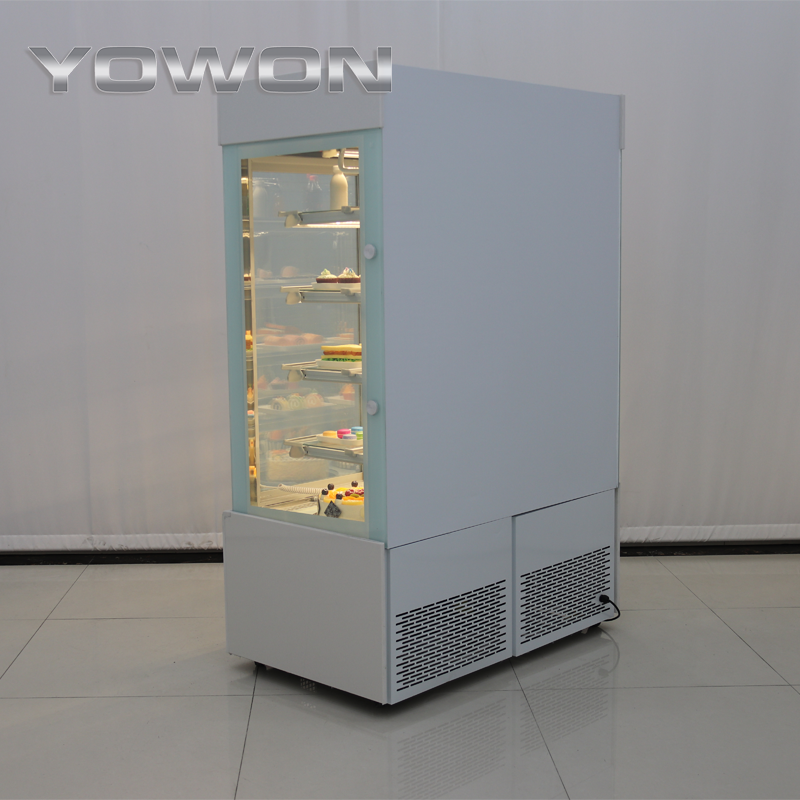 Yowon commercial refrigerator equipment vertical big size glass pepsi fridge cola display fridge