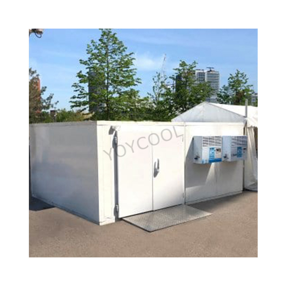 Mobile Container Best Solar power cold storage room