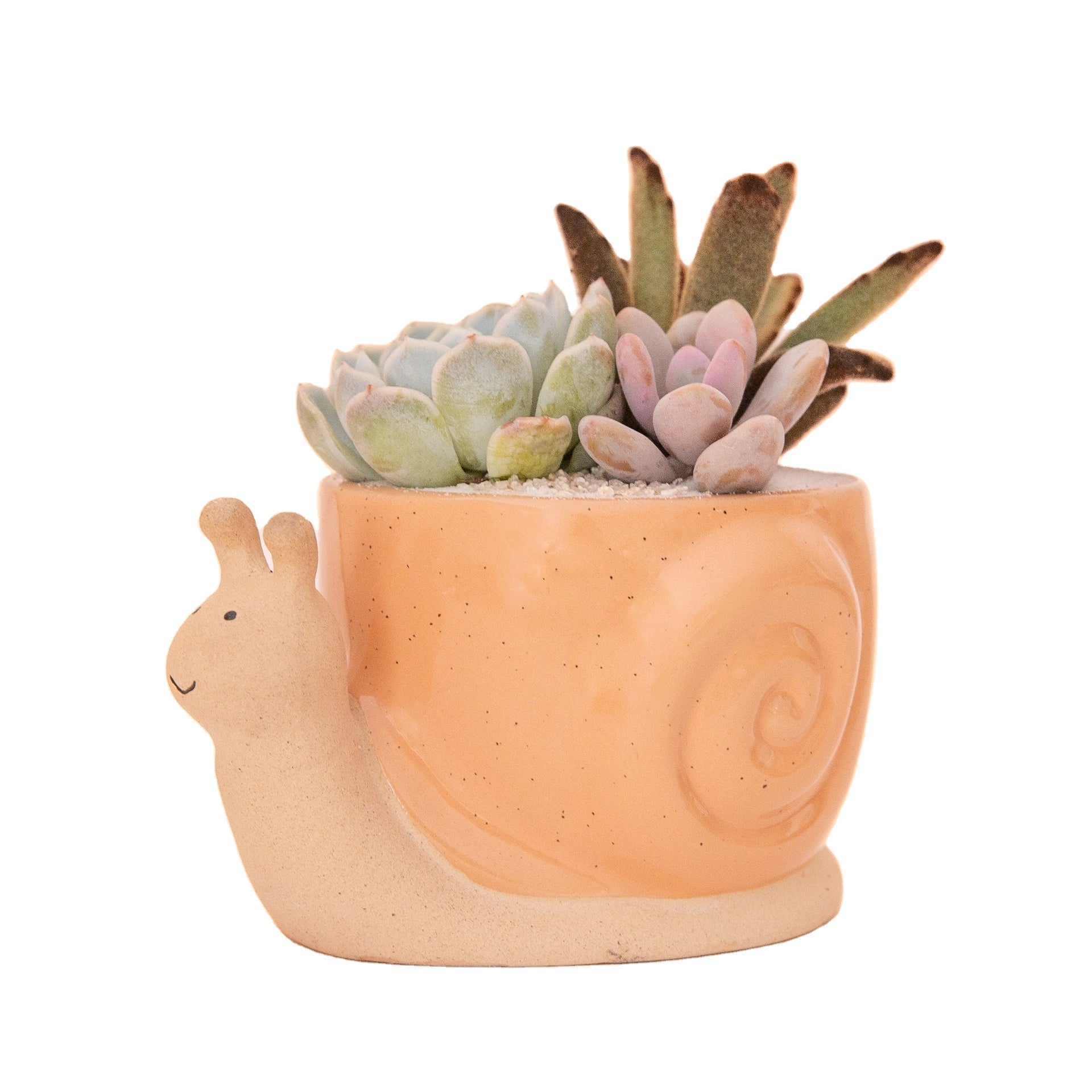 Snail Cactus Succulent Ceramic Pot Planters Cute Office Kitchen Home Decor Gift for Coworkers Women Gift