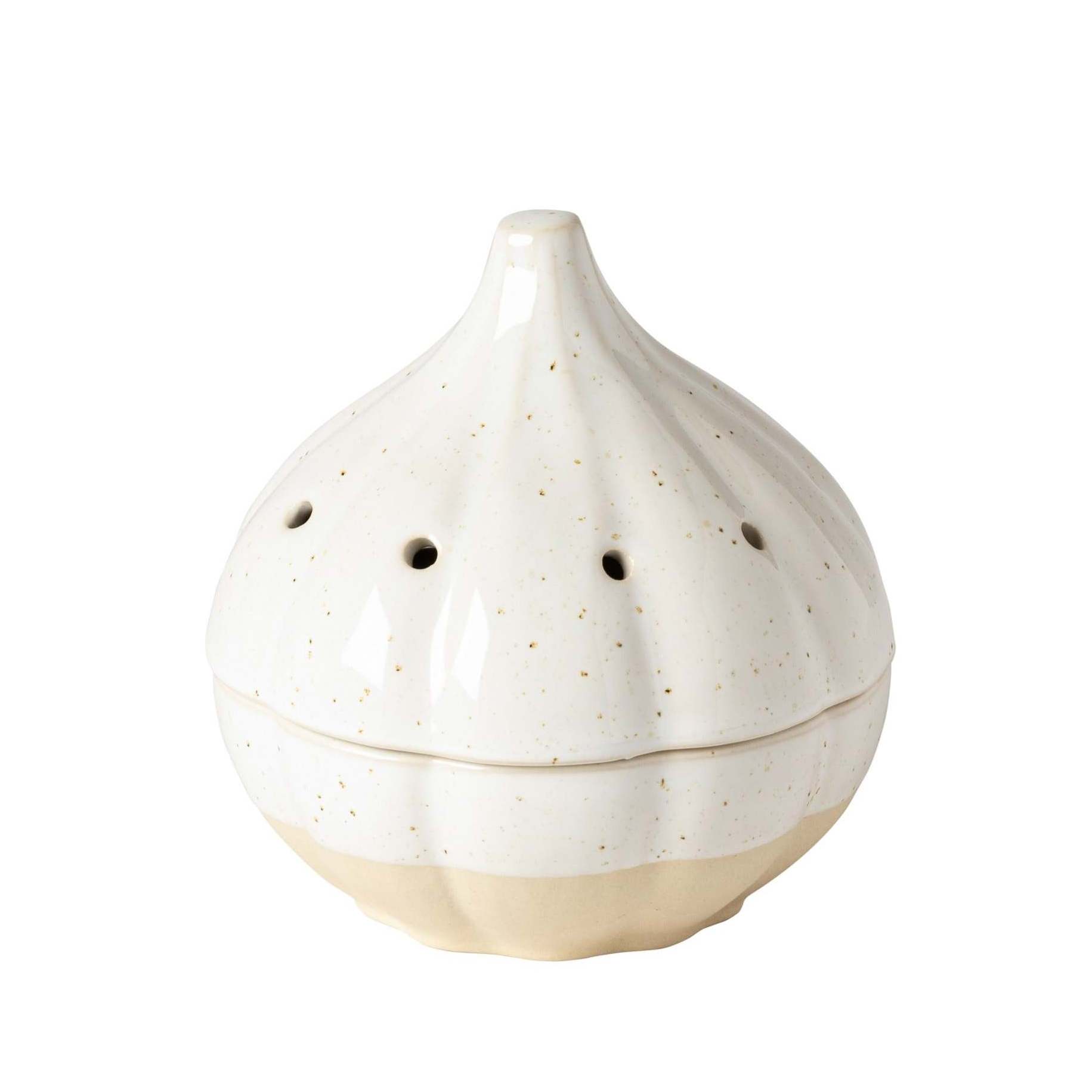 Classic Terracotta Garlic Shaped Ceramic Garlic Saver