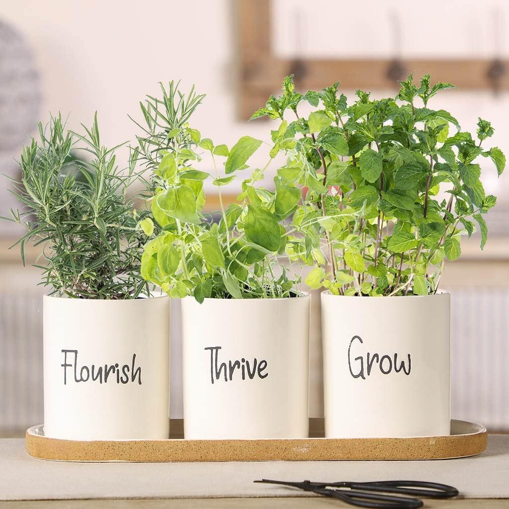 Indoor Herb Garden Planter Set Customized Ceramic Windowbox Flower Pots on Tray