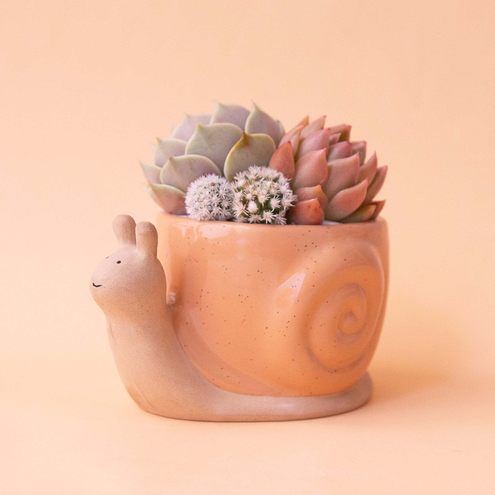 Snail Cactus Succulent Ceramic Pot Planters Cute Office Kitchen Home Decor Gift for Coworkers Women Gift