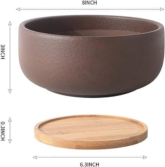 Terracotta Bonsai Planter Pot for Succulent 8 Inch