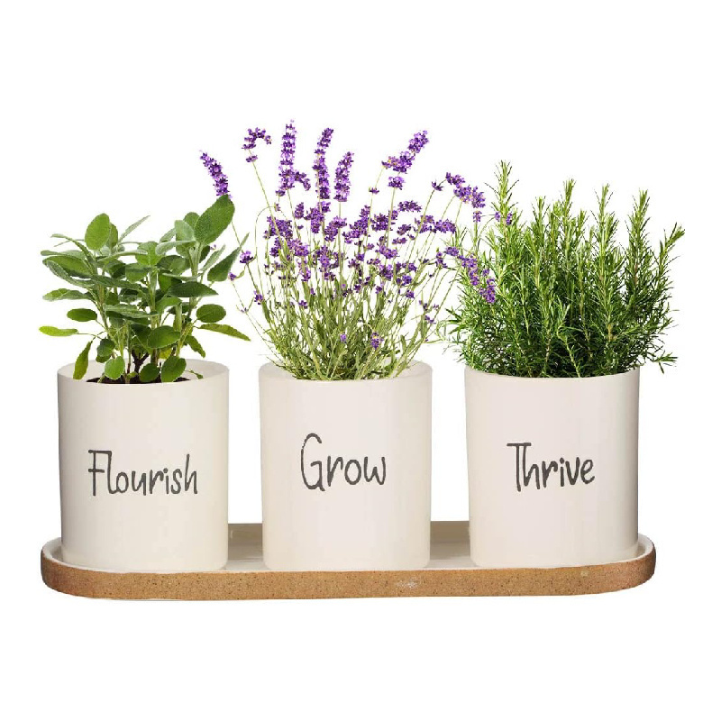 Indoor Herb Garden Planter Set Customized Ceramic Windowbox Flower Pots on Tray