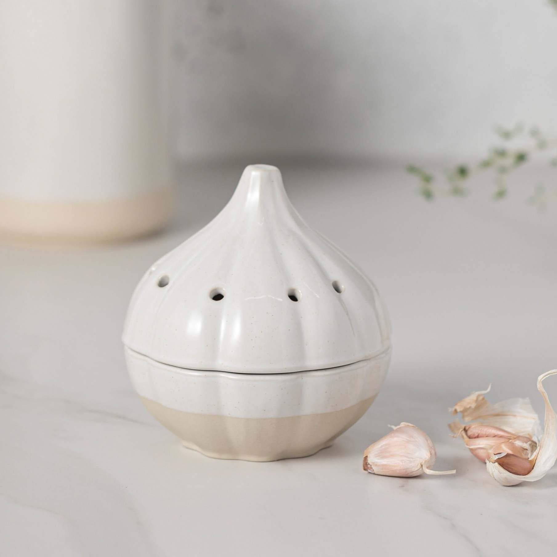 Classic Terracotta Garlic Shaped Ceramic Garlic Saver