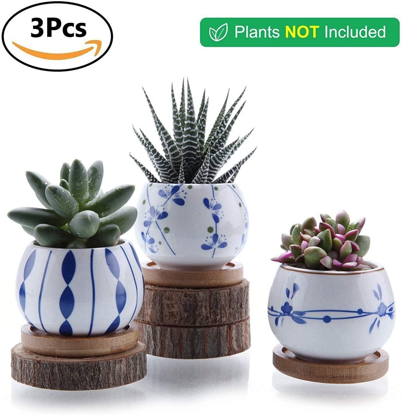 2.5 Inch Ceramic Succulent Planter Pot with Bamboo Saucer Set of 3 Cactus Flower Pot Gift for Mom Sister Aunt Home Office Decor