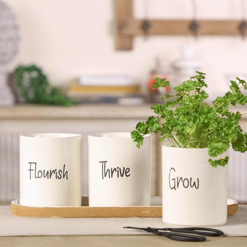 Indoor Herb Garden Planter Set Customized Ceramic Windowbox Flower Pots on Tray