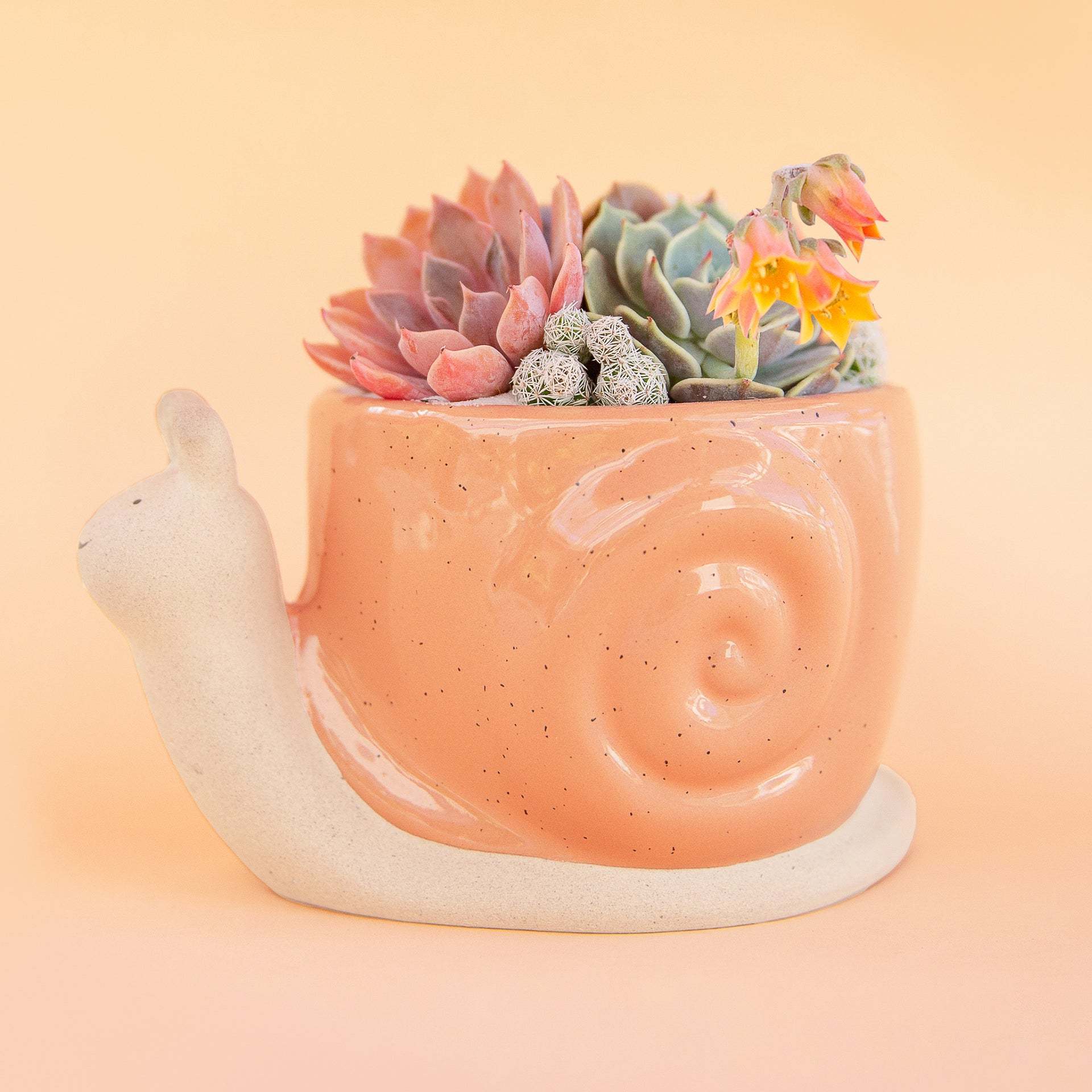 Snail Cactus Succulent Ceramic Pot Planters Cute Office Kitchen Home Decor Gift for Coworkers Women Gift