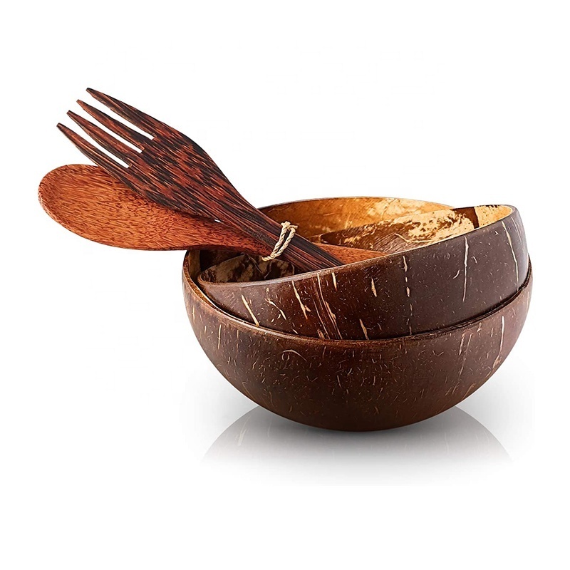 Organic Natural Handmade Coconut Shell Bowls with Spoon Eco-friendly  Coconut Bowls set