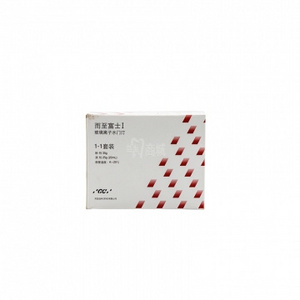 glass ionomer cement (GIC) Dental adhesives Dental Cement Type 1