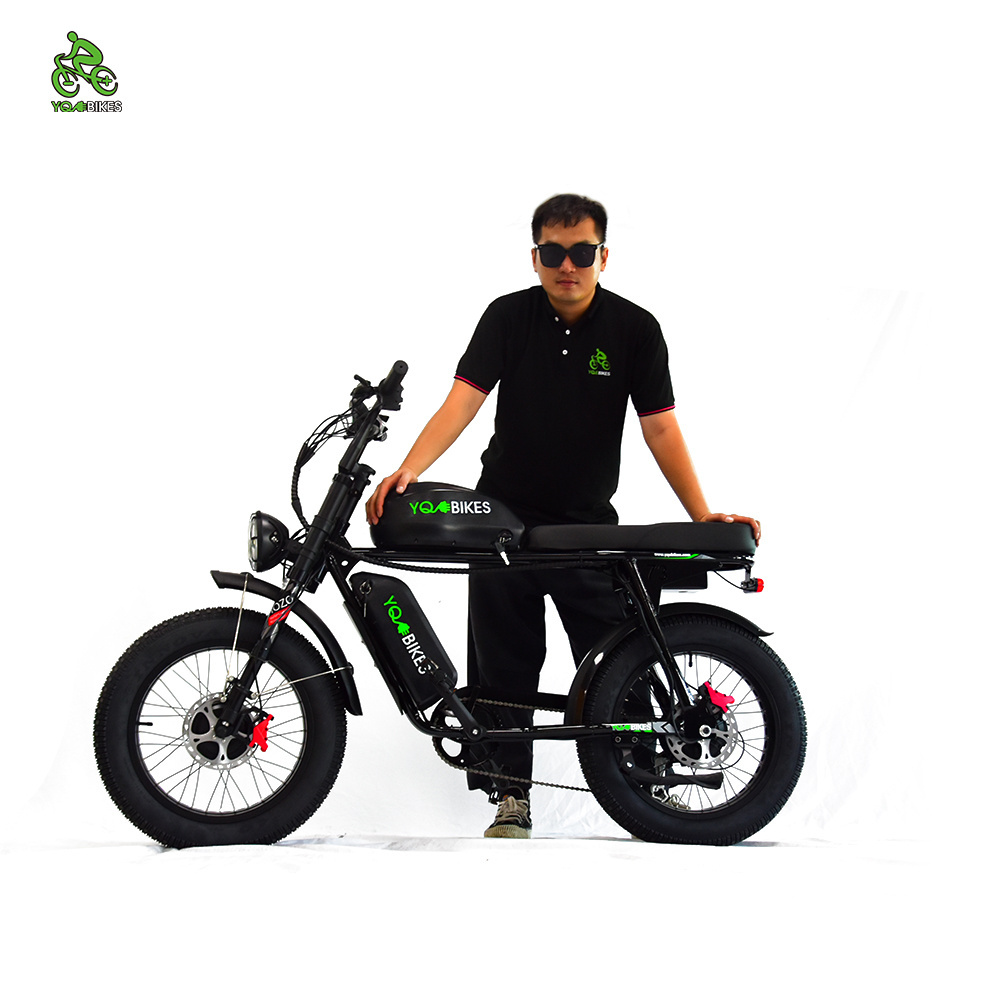 Electric Bicycle 2000W 3000W Big Power Double Motor Double Battery 48V Electric Bicycle Sales New Electric City Bike  YQEBIKES