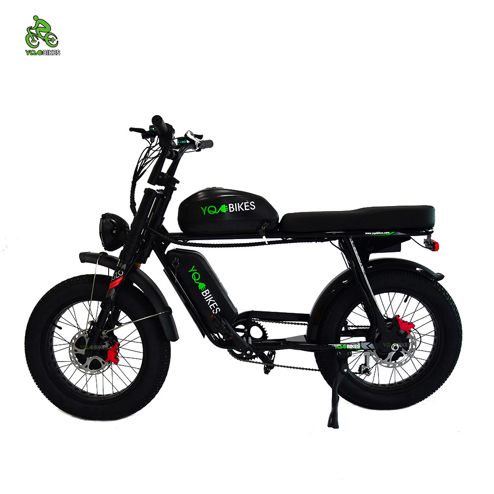 Electric Bicycle 2000W 3000W Big Power Double Motor Double Battery 48V Electric Bicycle Sales New Electric City Bike  YQEBIKES