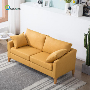 Hot sale Simple Casual Fabric Sofa Nordic Style Washable Double Sofa