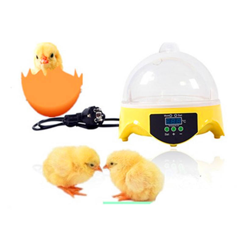 Full Automatic Mini 20W 7 Finch Chicken Hatching Eggs Incubator Quail Egg Incubators