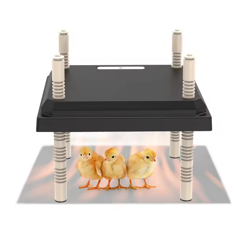 Breeding Hatching Chicken Coop Heater Chick Brooder For Chik Quail Duck Birds Breeding Cage