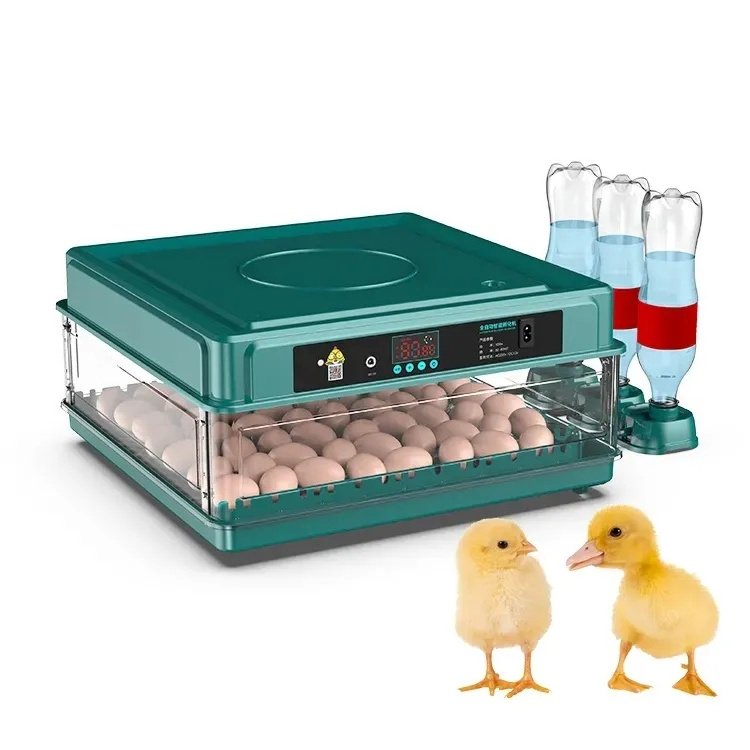 Automatic constant temperature Poultry  incubators hatcher 70 eggs capacity 98% high hatching rate chick egg hatching machine