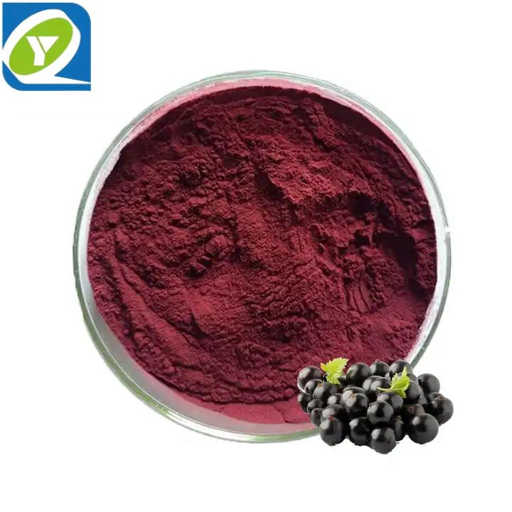 High quality freeze dried blackcurrant powder