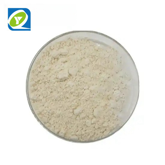 Pure Natural Bitter Orange Peel Extract Citrus Aurantium Organic Bitter orange extract powder