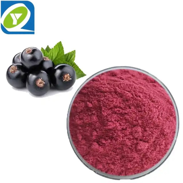 High quality freeze dried blackcurrant powder